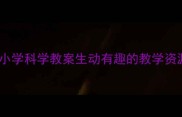 电池家族大小学科学教案生动有趣的教学资源分享