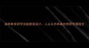 森林教育研学实践教案设计人从众木林森自然研学课程全