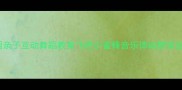 幼儿园亲子互动舞蹈教案飞吧小蜜蜂音乐律动教学全攻略