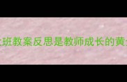 为什么大班教案反思是教师成长的黄金钥匙