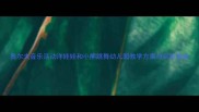 奥尔夫音乐活动洋娃娃和小熊跳舞幼儿园教学方案与实施指南