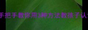 岩石分类教案手把手教你用3种方法教孩子认识岩石附资源包