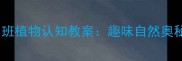 中班植物认知教案趣味自然奥秘