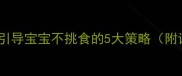 托班教案科学引导宝宝不挑食的5大策略附详细教学方案