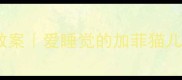 加菲猫亲子舞蹈教案爱睡觉的加菲猫儿童启蒙舞蹈教学