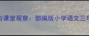大伞和小伞教学策略与课堂观察部编版小学语文三年级下册教案深度反思