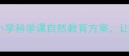 蟋蟀的住宅教案设计小学科学课自然教育方案让孩子动手建造昆虫小屋