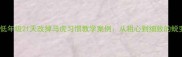 小学低年级21天改掉马虎习惯教学案例从粗心到细致的蜕变指南