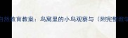 幼儿园自然教育教案鸟窝里的小鸟观察与附完整教学方案