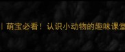 小班教案萌宝必看认识小动物的趣味课堂最新版