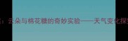 小学科学教案云朵与棉花糖的奇妙实验天气变化探究课教学设计
