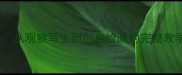 小学美术蜗牛主题教案从观察写生到创意绘画的完整教学方案附课件下载