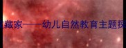大班教案豆豆收藏家幼儿自然教育主题探究活动全攻略