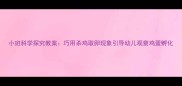 小班科学探究教案巧用杀鸡取卵现象引导幼儿观察鸡蛋孵化