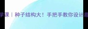 小学科学课种子结构大手把手教你设计趣味教案