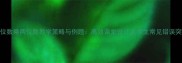 三位数乘两位数教学策略与例题高效课堂设计及学生常见错误突破