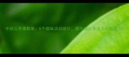 中班公开课教案5个趣味活动设计提升幼儿专注力与创造力