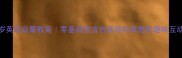 3-6岁英语启蒙教案零基础宝宝也能轻松掌握的趣味互动课表