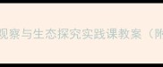 小学科学课蝴蝶谷教学设计自然观察与生态探究实践课教案附教学目标活动方案及评价标准