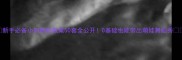 新手必备小班舞蹈教案50套全公开0基础也能带出萌娃舞蹈秀