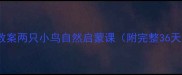 幼儿园托班教案两只小鸟自然启蒙课附完整36天活动方案