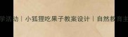 幼儿园小班科学活动小狐狸吃果子教案设计自然教育主题活动全攻略