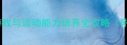 幼儿园中班跷跷板体育教案趣味游戏与运动能力培养全攻略附教学目标游戏案例及安全指南