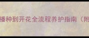 家庭种植教学方案从播种到开花全流程养护指南附教学计划与实操步骤