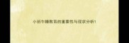 小班午睡教育的重要性与现状分析