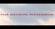 中小学生必看校园安全主题班会教案附防溺水防欺凌防踩踏全攻略