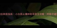 家庭阳台种菜指南小白菜从播种到丰收全攻略附新手避坑清单