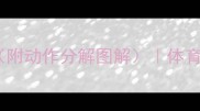 小学排球教案教学设计附动作分解图解体育课训练方案与考核标准