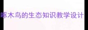小学科学教案啄木鸟的生态知识教学设计附教学资源