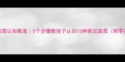 幼儿园小班蔬菜认知教案5个步骤教孩子认识15种常见蔬菜附零基础教学模板