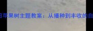 小班教案秋日苹果树主题教案从播种到丰收的自然教育指南