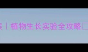 教科版小学四年级科学教案植物生长实验全攻略手把手教你做课堂爆款课
