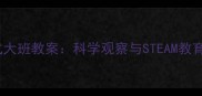 蚂蚁主题探究式大班教案科学观察与STEAM教育融合活动设计