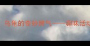 中班情绪教育教案乌龟的奇妙脾气趣味活动引导幼儿认识情绪
