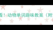幼儿英语启蒙必看动物单词趣味教案附免费资源