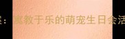 幼儿园小猫生日主题教案寓教于乐的萌宠生日会活动方案附教学资源