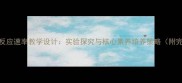 选修4化学反应速率教学设计实验探究与核心素养培养策略附完整教案