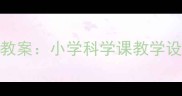 丹顶鹤保护与生态教案小学科学课教学设计附课件资源