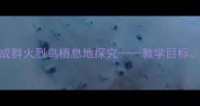 小学科学教案成群火烈鸟栖息地探究教学目标方法与资源整合