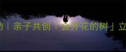 大班美术活动亲子共创会开花的树立体手工教案