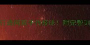 篮球女生必学零基础3步搞定行进间双手传接球附完整训练计划附赠护具选购攻略