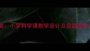 大象蚊子探秘教案小学科学课教学设计及实践案例附课件下载