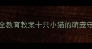 儿童安全教育教案十只小猫的萌宠守护计划