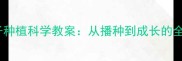 幼儿园中班种子种植科学教案从播种到成长的全过程教学指南