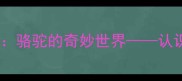 幼儿园中班科学活动骆驼的奇妙世界认识沙漠中的沙漠之舟