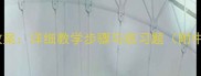 虚拟语气英文教案详细教学步骤与练习题附中考高考考点